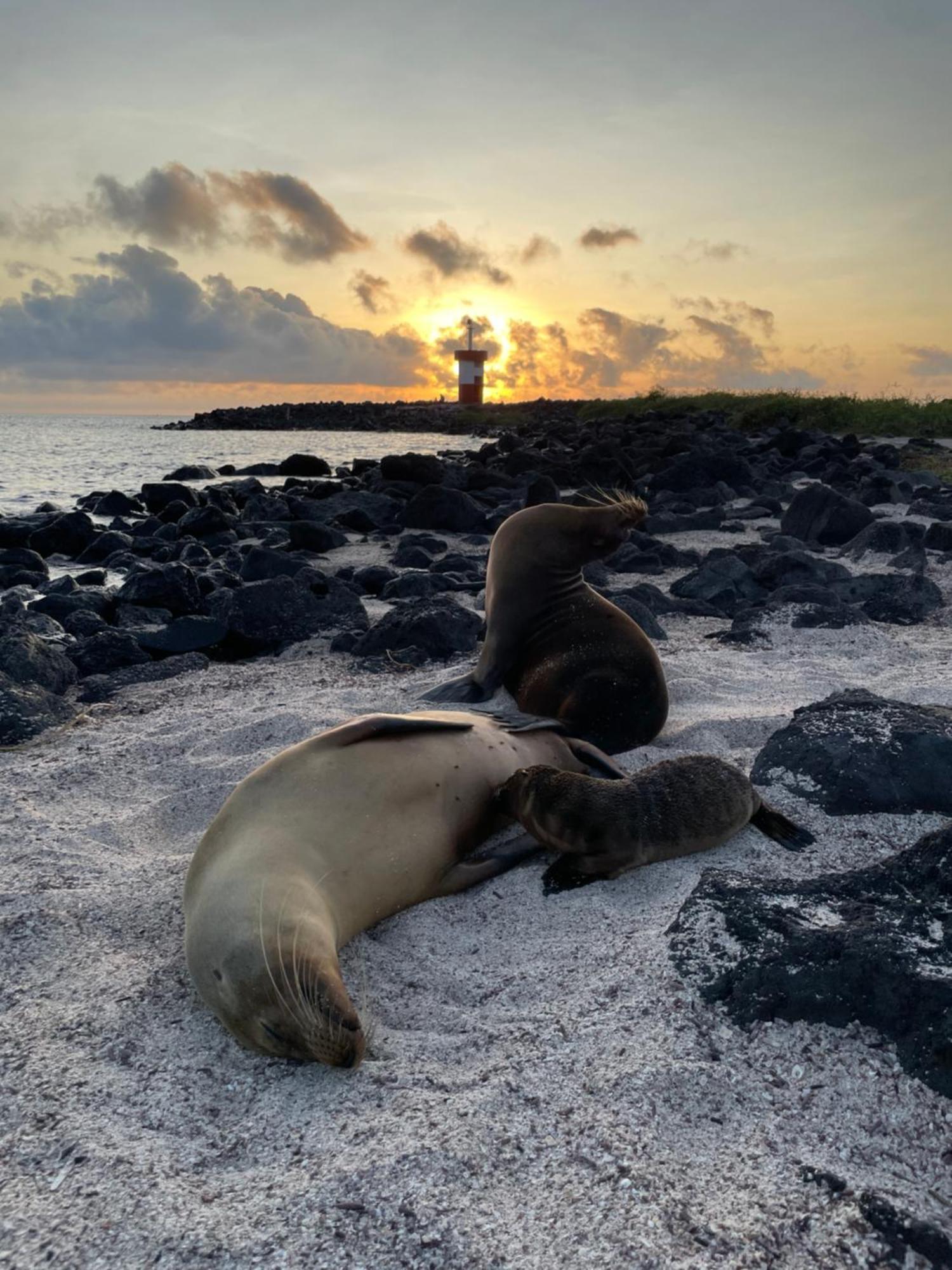 Апартаменти Moonlight, Galapagos Сан-Крістобаль Екстер'єр фото
